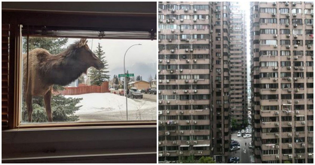 Ljudi podijelili kako izgleda njihov pogled kroz prozor, neki prizori su zapanjujući