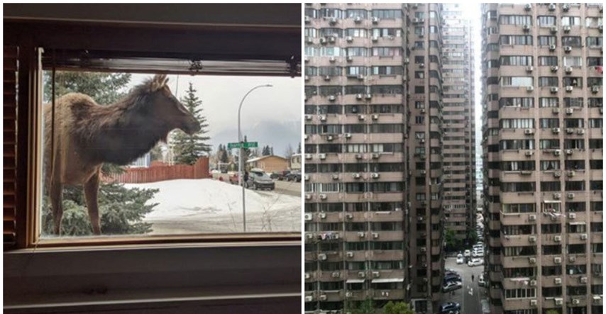 Ljudi podijelili kako izgleda njihov pogled kroz prozor, neki prizori su zapanjujući
