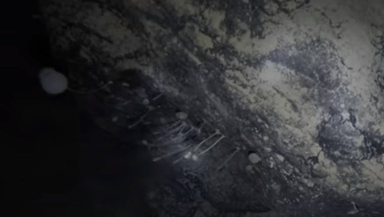 Znanstvenici našli život ispod 900 metara debelog leda: Tu ne bi smjelo biti života