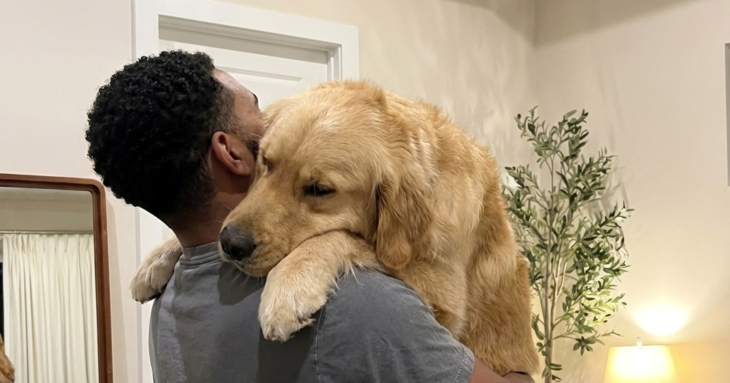 Zlatni retriver misli da je još uvijek beba i obožava maženje