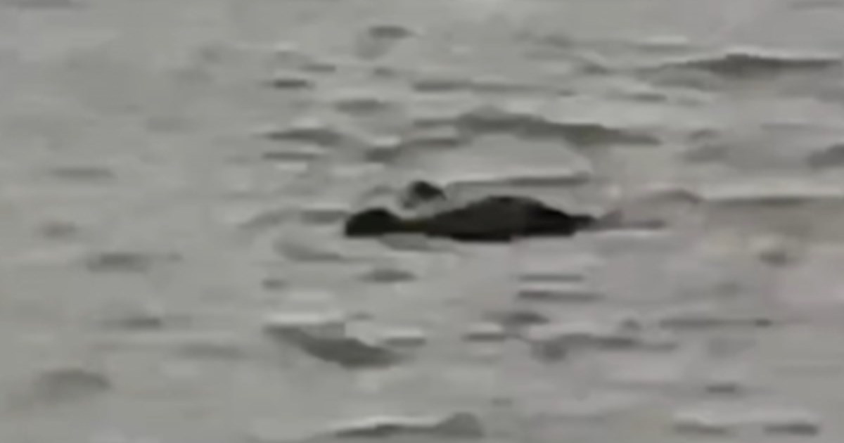 U Indiji nestao dječak (13), krokodil ga odvukao u rijeku