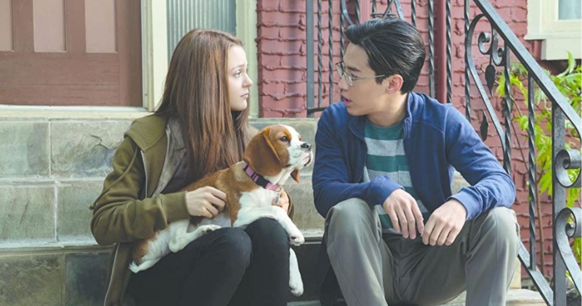 Ljudi podijelili najluđe razloge zbog kojih su vodili ljubimce veterinaru