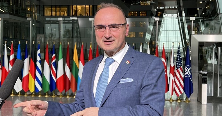 Grlić Radman: Hrvatska će uskoro protjerati dio ruskih diplomata