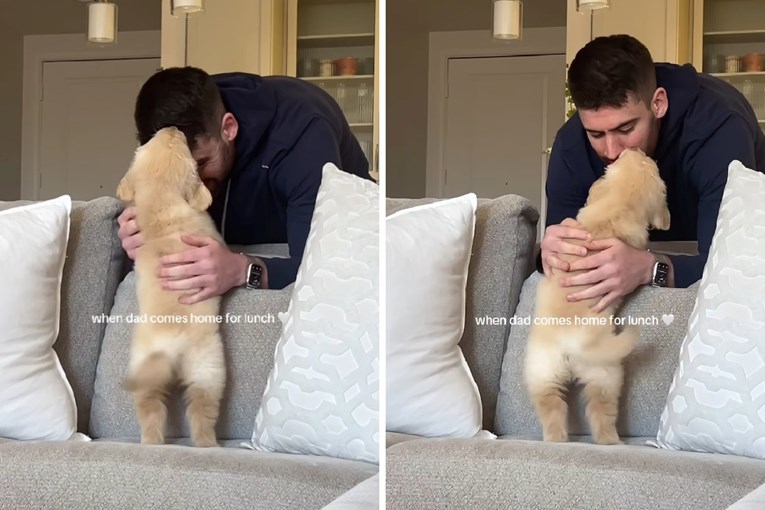 5,7 mil. pregleda: Pogledajte preslatku reakciju kujice kad se vlasnik vrati s posla