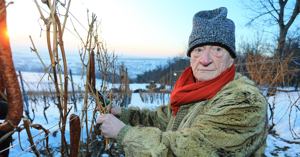 Umro Enver Moralić (90), vlasnik najveće vinarije u Hrvatskoj