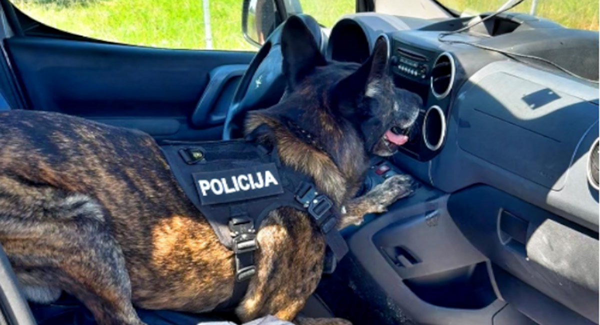 FOTO Vozač zaustavljen na A1. Umjesto zračnog jastuka, imao 4,3 kg kokaina
