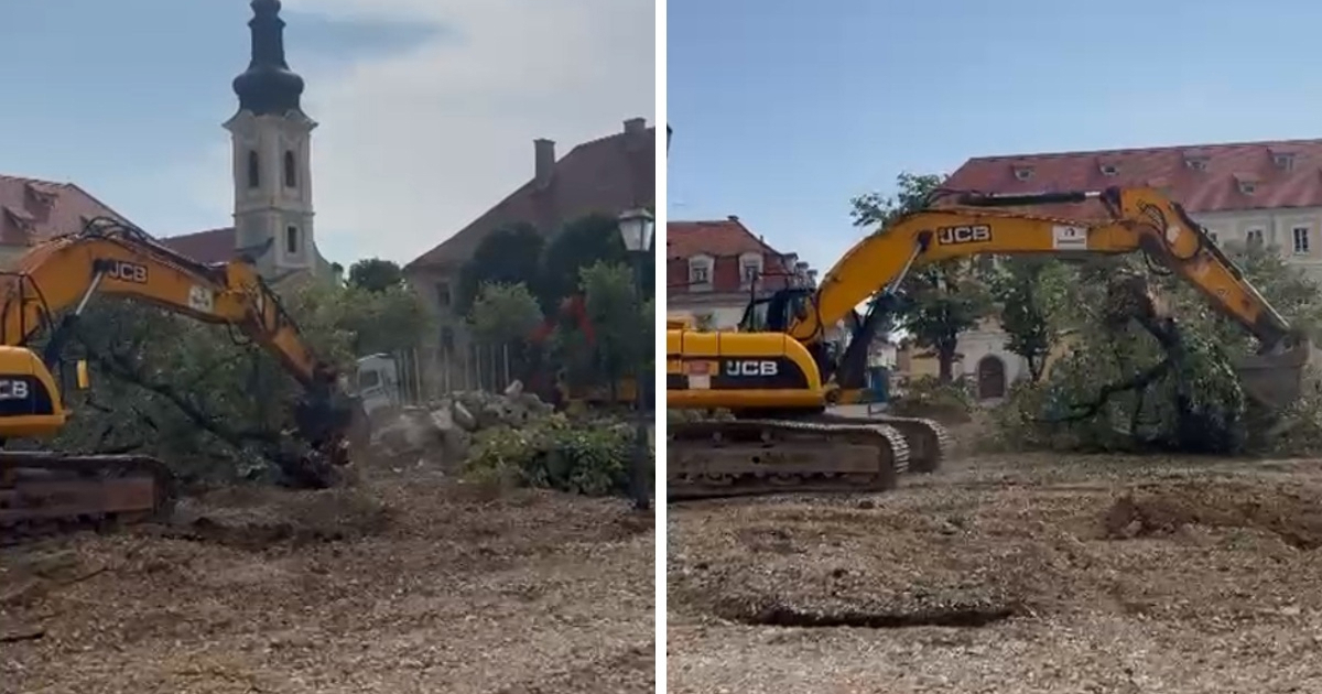 Pobuna u Karlovcu zbog srušenih lipa. "Preživjele su rat i potres, ali ne ovu vlast"