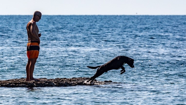 Kakva sreća! Pogledajte kako ovaj "morski pas" u Puli uživa u ljetnim radostima