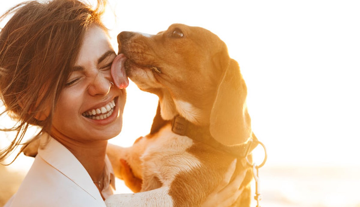 Postoje stvari koje psi mogu osjetiti o ljudima i one su prilično nevjerojatne