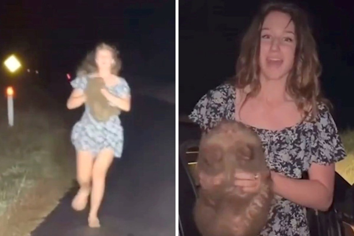 Influencerica zgrabila bebu vombata, majka trčala za njom. Sad je uhićena