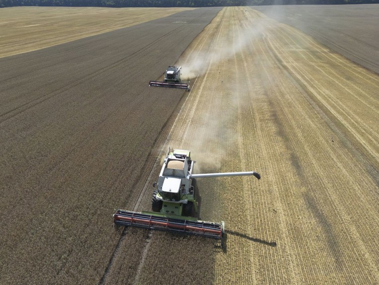 Egipat i Rusija zajedno moderniziraju trgovinu žitaricama