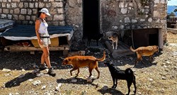 Zlostavljaju li ovdje pse ili ih spašavaju? Posjetili smo azil iznad Dubrovnika