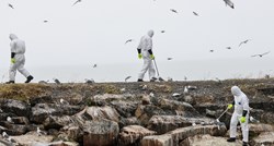Rekordno izbijanje ptičje gripe u Norveškoj i Finskoj