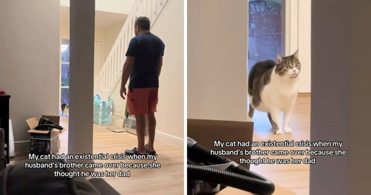 Mačka koja ima egzistencijalnu krizu zbog neočekivanog gosta nasmijala je internet