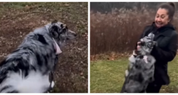 Pas je nije vidio 6 mjeseci: Ovako je reagirao kad je neprimjetno prošla pored njega