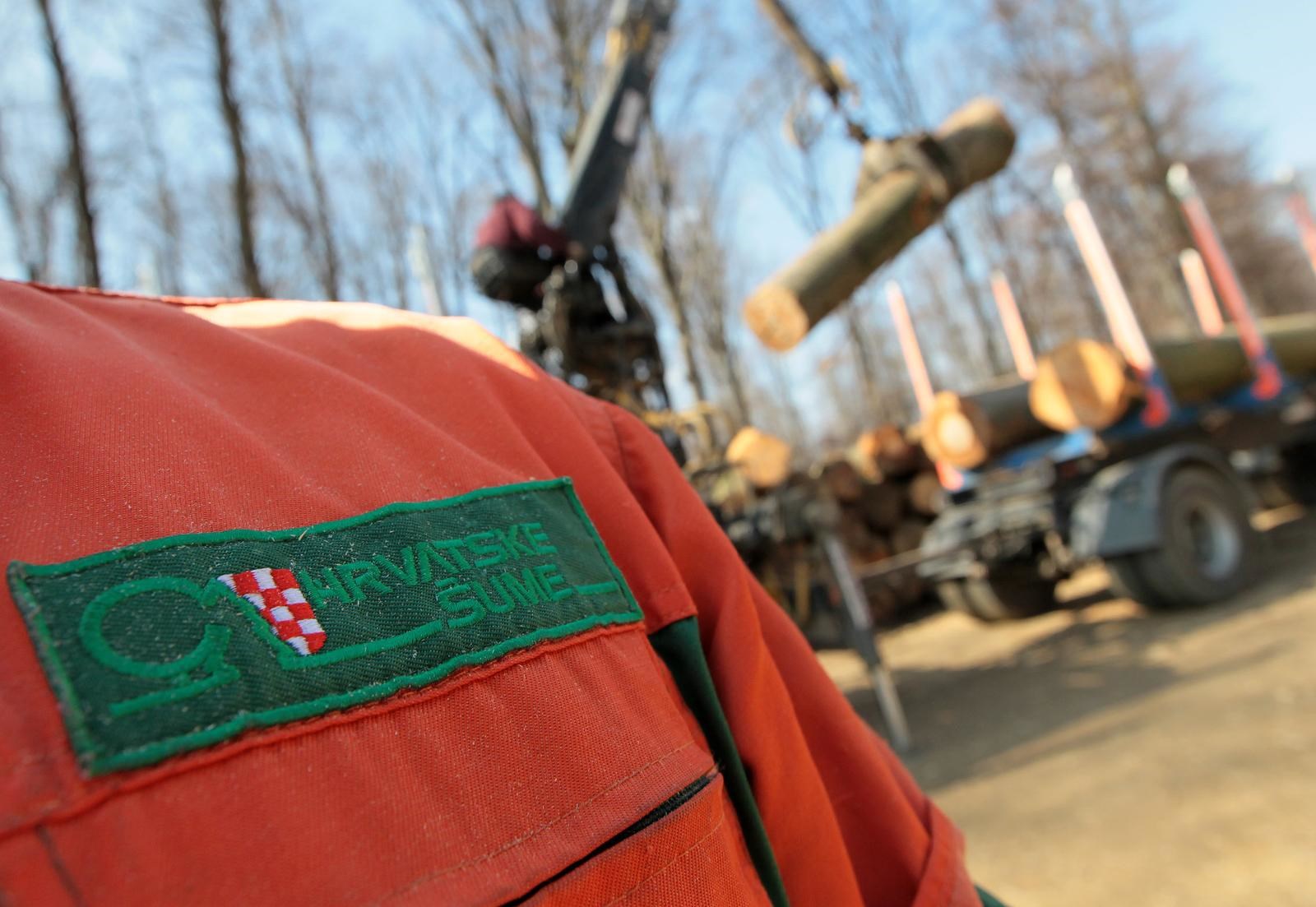 Radnika Hrvatskih šuma ubilo drvo koje je rušio njegov kolega
