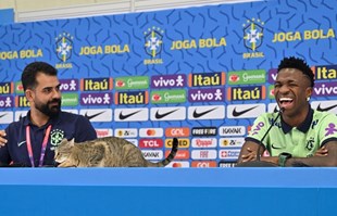 Mačka na presici Brazila, glasnogovornik ju bacio sa stola i iznenadio Viniciusa