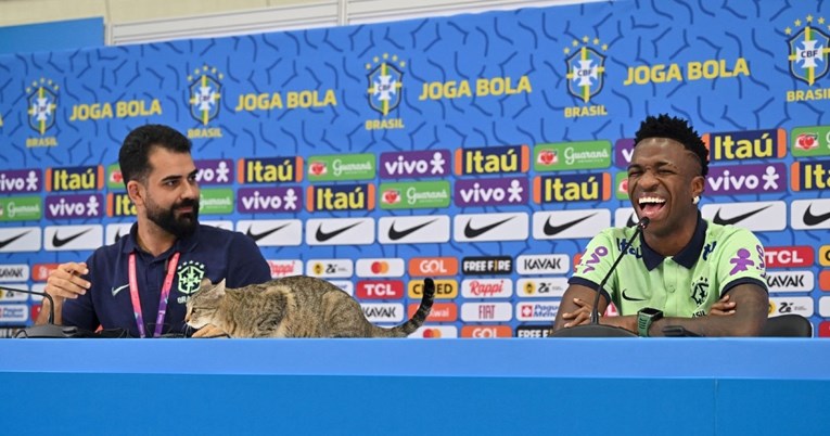Mačka na presici Brazila, glasnogovornik ju bacio sa stola i iznenadio Viniciusa