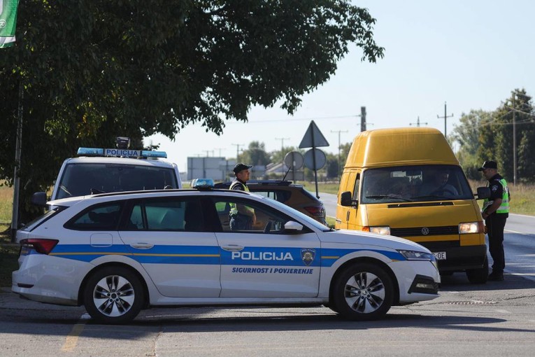 Afrička svinjska kuga širi se Slavonijom. Policija uvodi stalne punktove za kontrolu