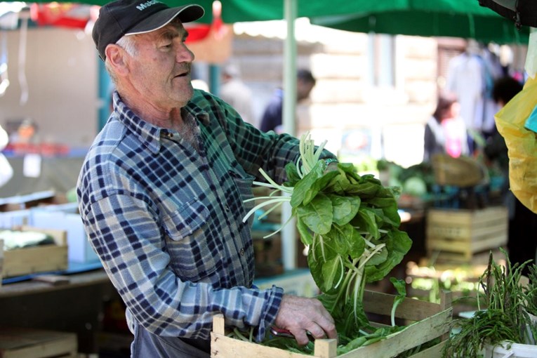Slovenci je obožavaju: Evo zašto je ova biljka hit svakog proljeća