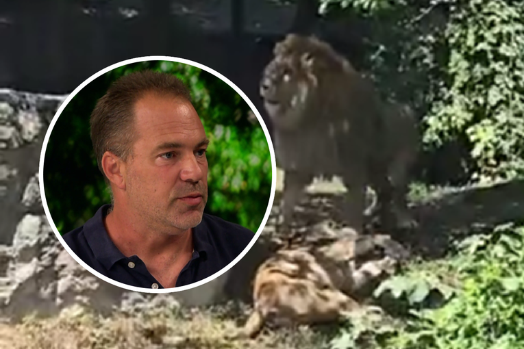 Ravnatelj ZOO-a: U trenutku napada na lavicu bilo je oko 50, 60 ljudi oko nastambe
