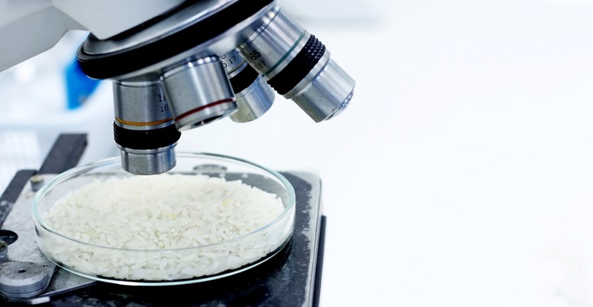 Goveđa riža: Korejski znanstvenici predstavili su rižu križanu s govedinom
