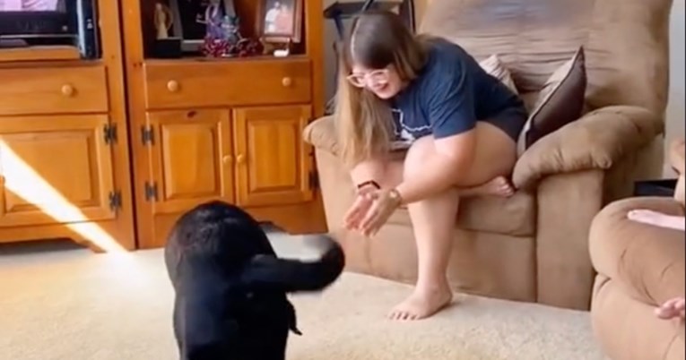 Labradorica naučila nevjerojatan trik i promijenila život gluhoj vlasnici