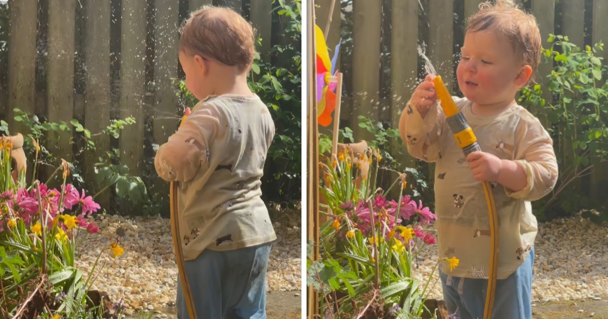 Mama je zamolila sina da joj pomogne zaliti cvijeće, evo kako je to završilo