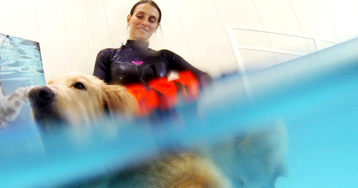 U Milanu otvoren prvi bazen za pse