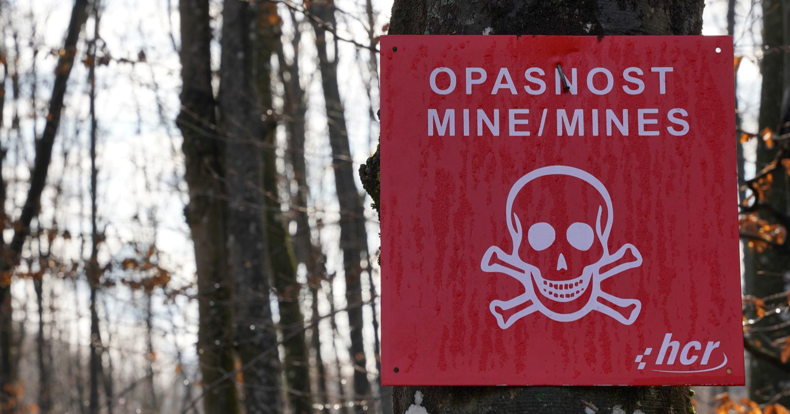 Kod Daruvara pronađene mine i streljivo. Policija ih uništila na licu mjesta