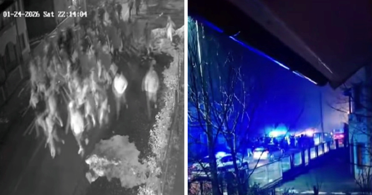 Masovna tučnjava Torcide i Delija u Tuzli. "Upadali su u kuće, nudili novac za bijeg"