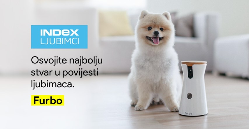 Vlasnici pasa, pozor! Index Ljubimci vam daruju globalni hit nedostupan u Hrvatskoj