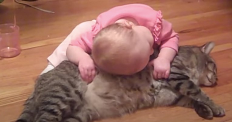 Beba nasrnula na mačku, njenu reakciju nitko nije očekivao