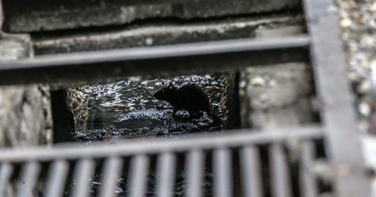 Sarajevom se širi zaraza leptospirozom. Do sada oboljele 64 osobe