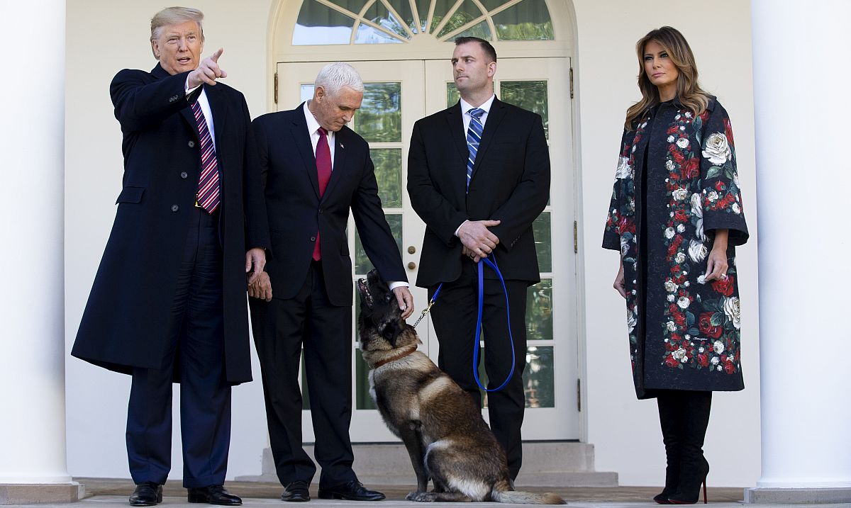 Trump odlikovao Conana, psa ozlijeđenog u operaciji al-Bagdadi