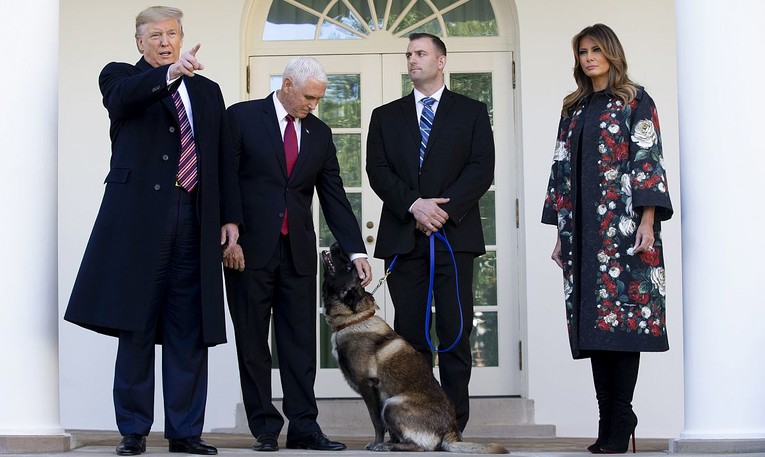Trump odlikovao Conana, psa ozlijeđenog u operaciji al-Bagdadi