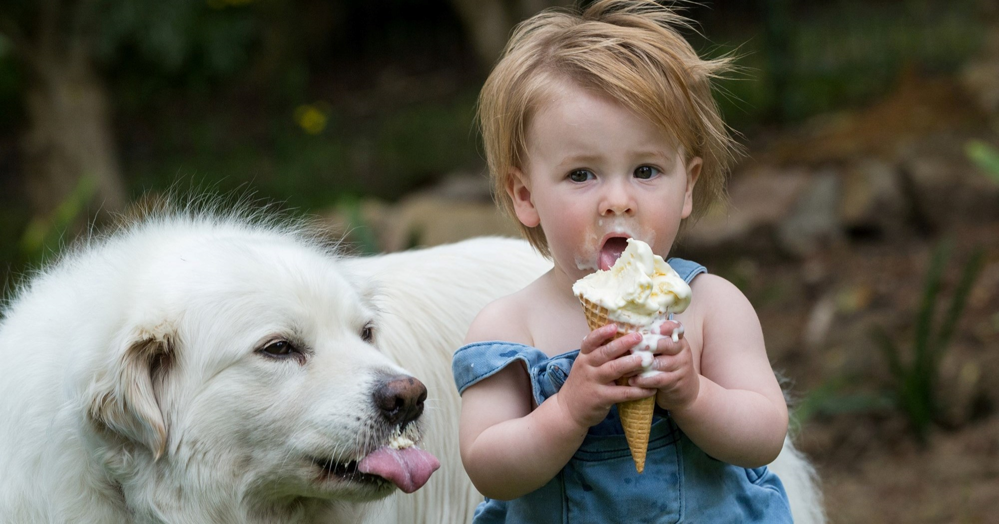 Je li uopće moguće napraviti sladoled koji se neće odmah otopiti?