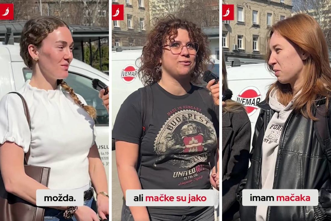 VIDEO Cure u Zagrebu otkrile su nam jesu li više "cat" ili "dog person"