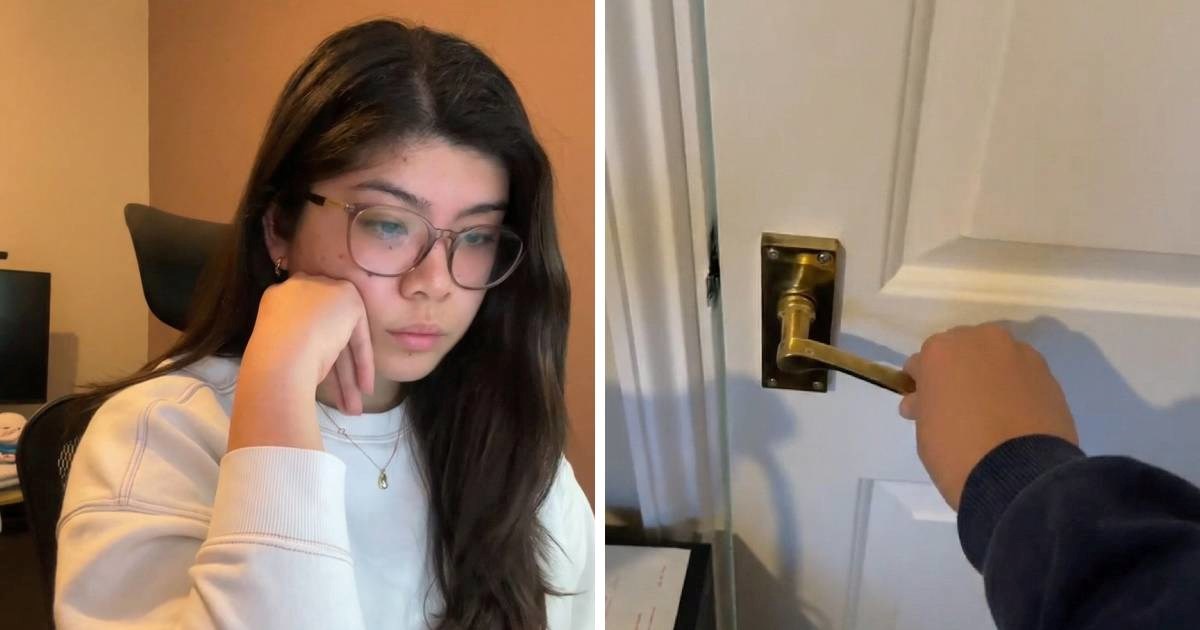 Djevojka koja radi od kuće pokazala zašto se ne može koncentrirati 😅