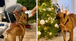 Pokazali kako izgleda prvi Božić njihovog psa, video je hit