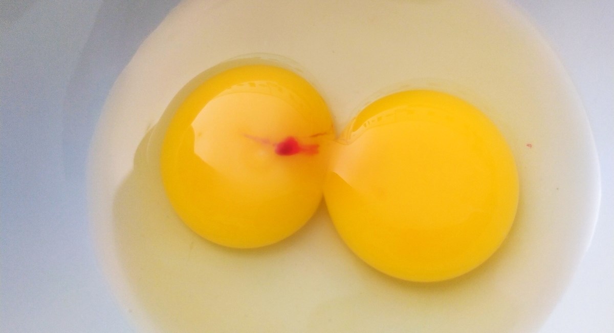 Jeste li ikada vidjeli krvave mrlje u jajetu? Evo o čemu se zapravo radi