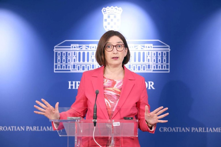 Puljak: U 26. godini 21. stoljeća imamo 500.000 više birača nego stanovnika