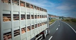 Kineske firme traže istragu zbog uvoza svinjetine iz EU-a. Kažu da su cijene preniske