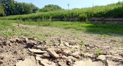 U Bjelovarsko-bilogorskoj proglašena prirodna nepogoda zbog suše