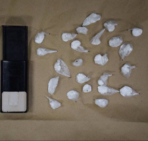 Diler u Zagrebu policiji predao 24 paketića kokaina