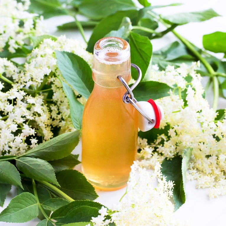 Sirovi plodovi ove popularne biljke mogu sadržavati cijanid