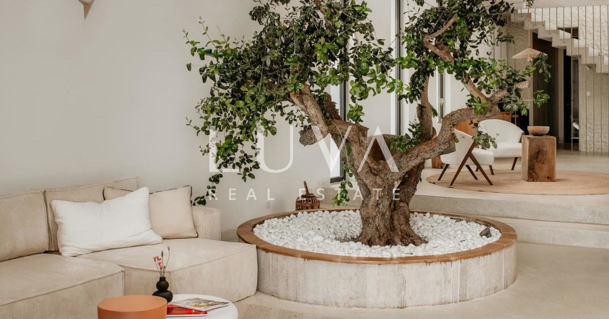 Vila na Šolti prodaje se za 2 mil. eura. U dnevnom boravku raste stablo masline