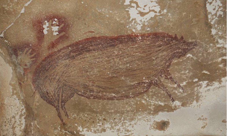 FOTO U Indoneziji pronađen najstariji spiljski prikaz životinje na svijetu