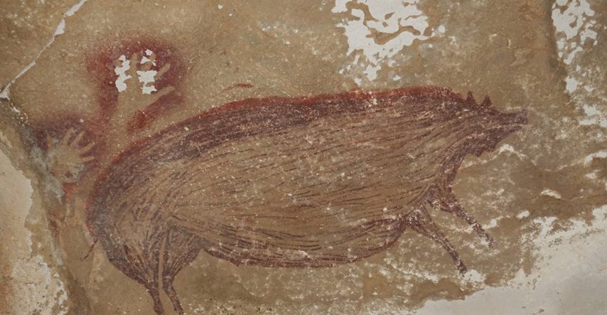 FOTO U Indoneziji pronađen najstariji spiljski prikaz životinje na svijetu