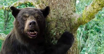 Stiže film nastao po bizarnoj istinitoj priči o medvjedu koji je pojeo 30 kg kokaina